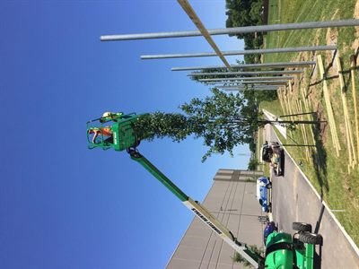 Commercial fence installation in Okolona KY